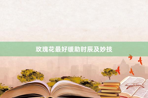 玫瑰花最好缓助时辰及妙技