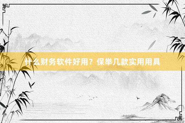 什么财务软件好用？保举几款实用用具